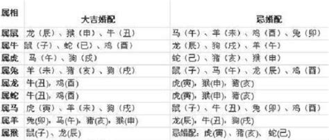 1997年属相|97年属什么 97年属什么的生肖配对